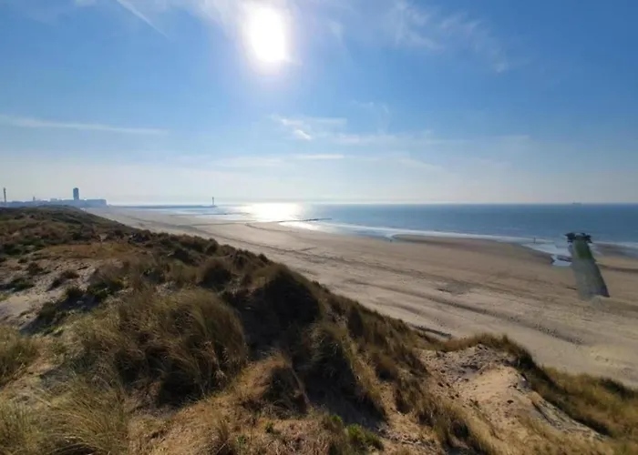 In With Ocean Views Apartament