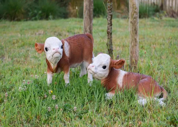 Apartament In With Ocean Views